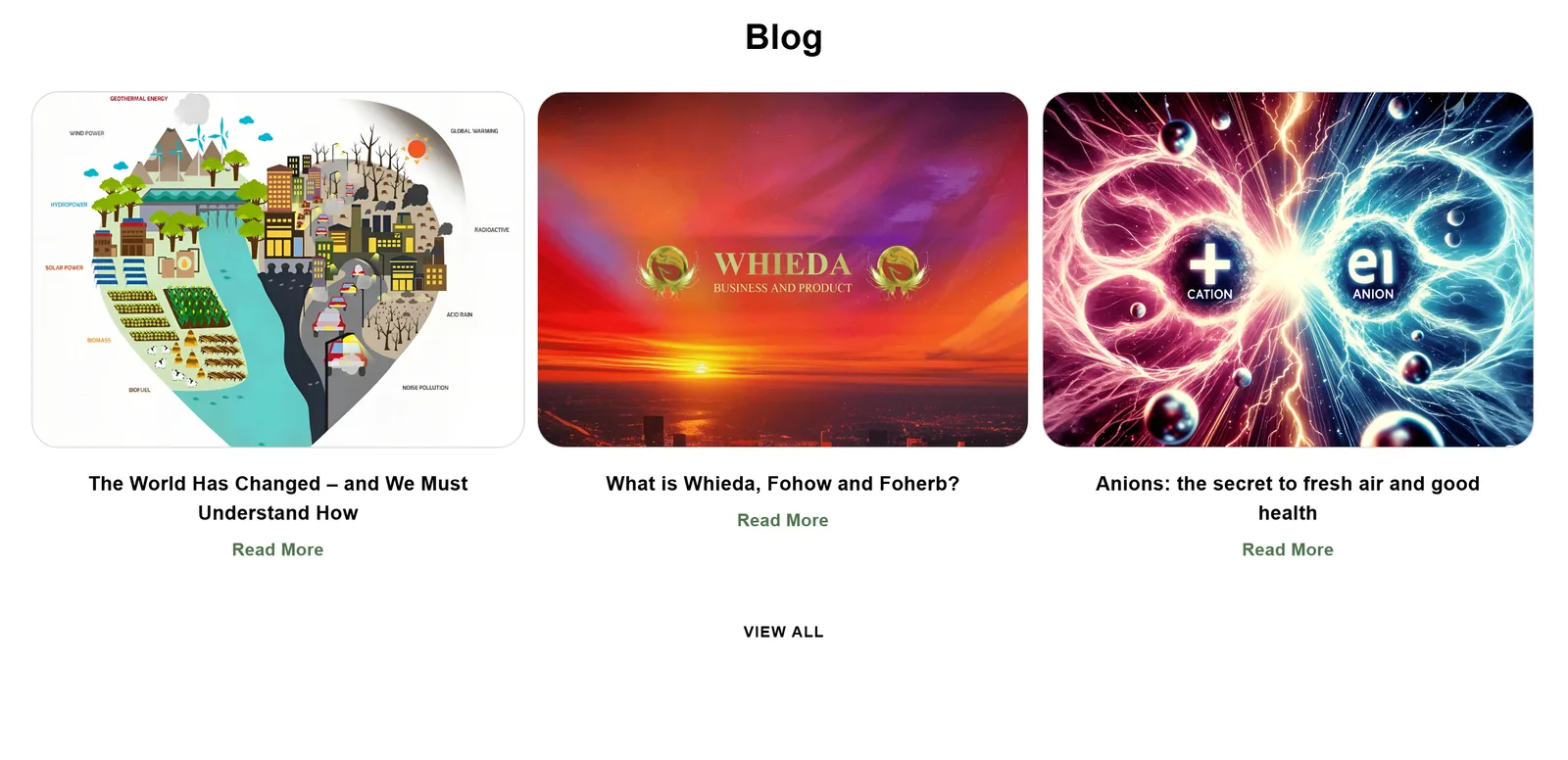 Homepage blog section with three article cards — "The World Has Changed - and We Must Understand How", "What is Whieda, Fohow and Foherb?" and "Anions: the secret to fresh air and good health" — each with a Read More link, above a View all link